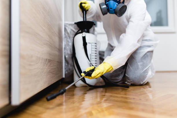 Best Wildlife Control Services  in Madison, GA