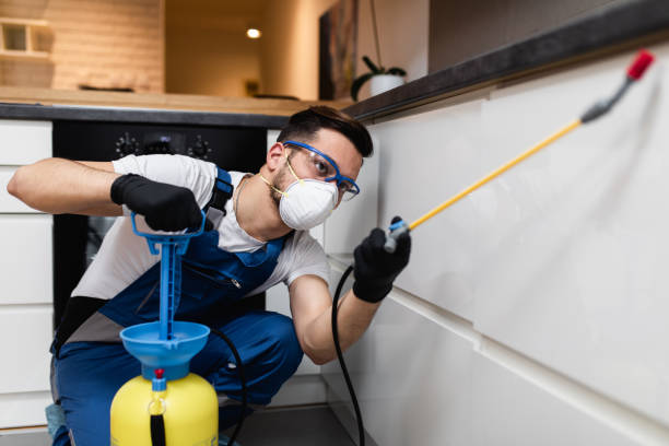 Best Affordable Pest Control Services  in Madison, GA
