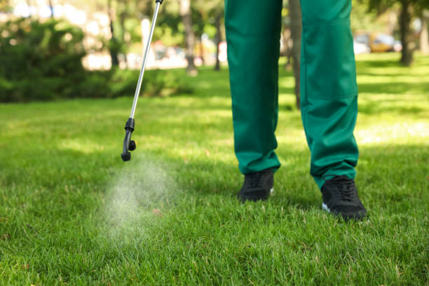 Best Pest Prevention Services  in Madison, GA