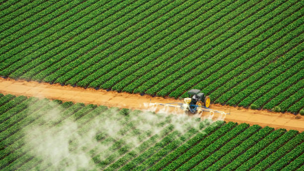 Pest Control Cost in Madison, GA