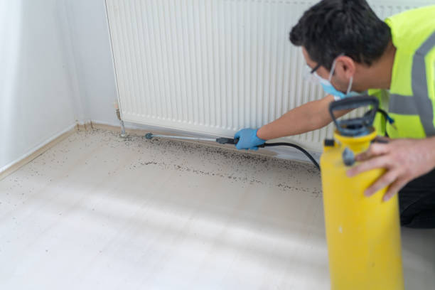 Best Best Pest Control Companies  in Madison, GA